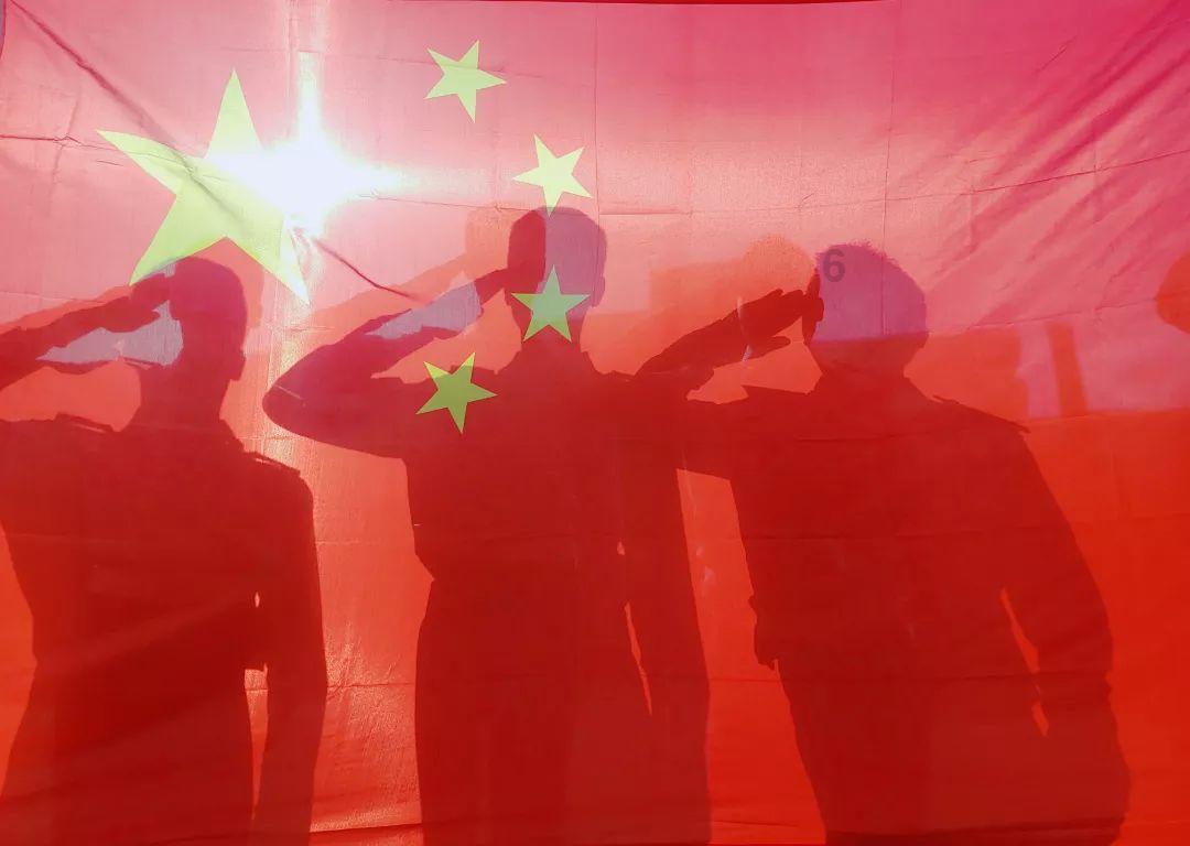 动物帮帮忙保卫家园